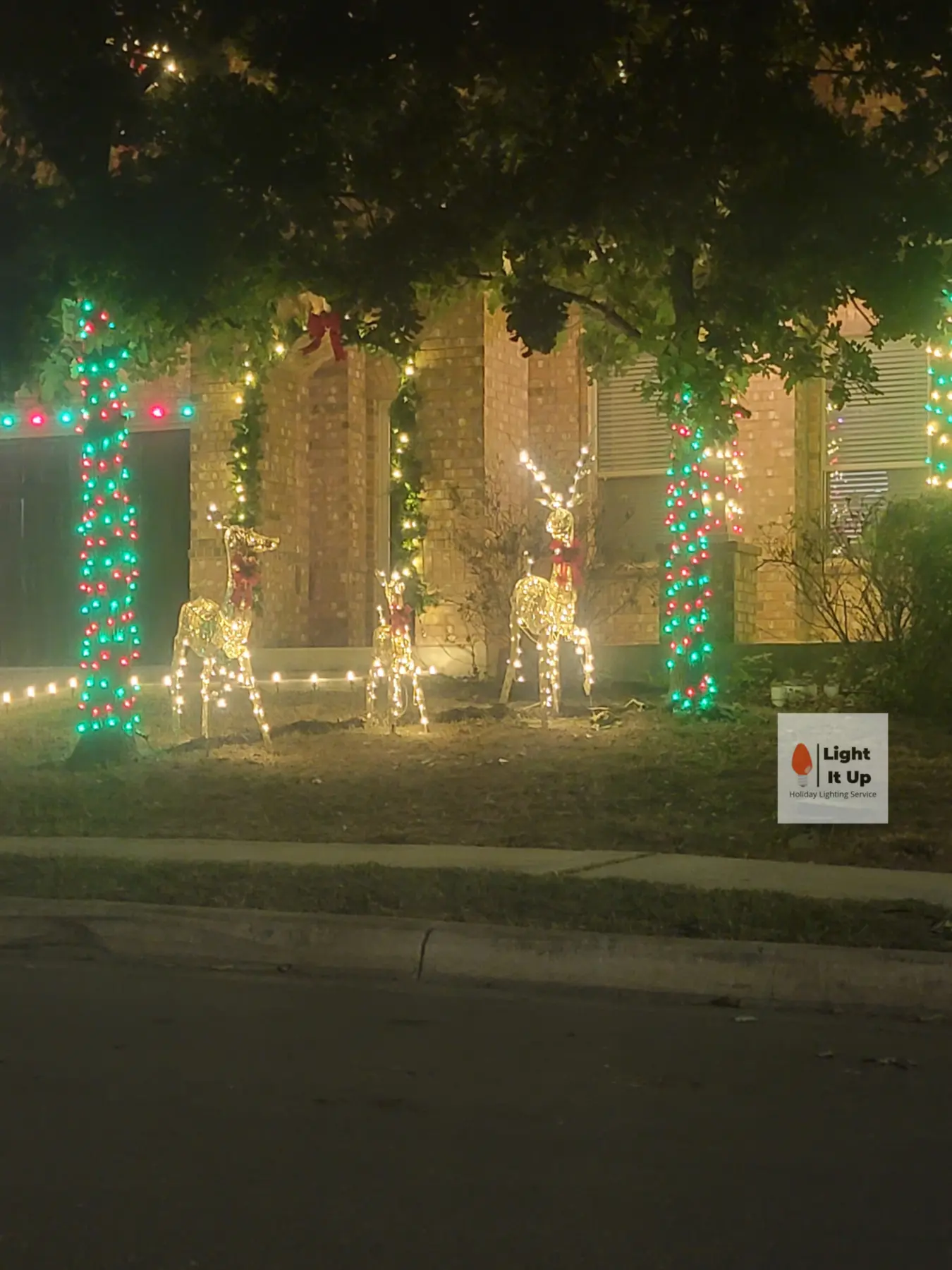 Trees and columns wrapped in red, green, and warm white holiday lights